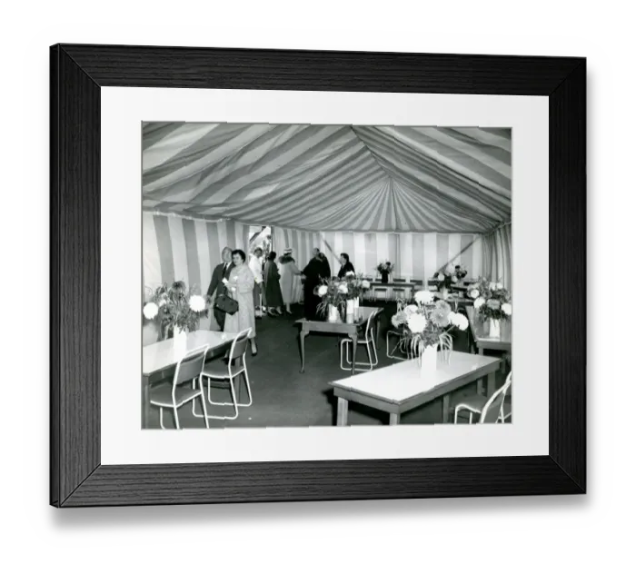 Framed Print : President of the Royal Aeronautical Society, Sir George ? Framed Print : President of the Royal Aeronautical Society, Sir George ?