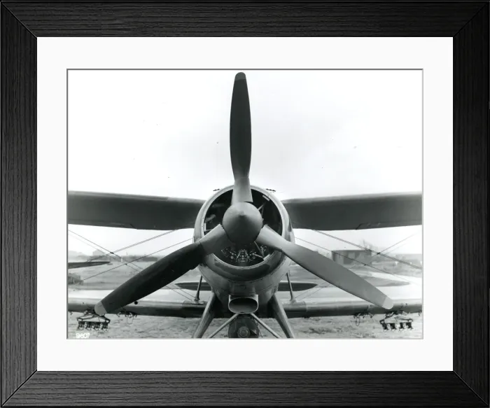 Framed Print : Fairey Albacore Framed Print : Fairey Albacore