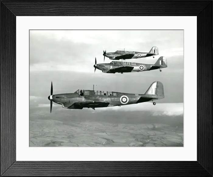 Framed Print : Fairey Fulmars Framed Print : Fairey Fulmars
