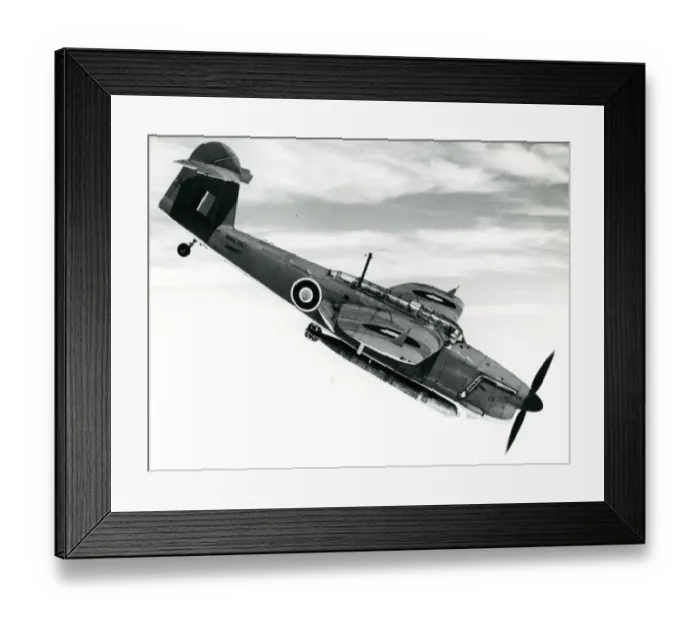 Framed Print : Fairey Barracuda II, P9667 Framed Print : Fairey Barracuda II, P9667