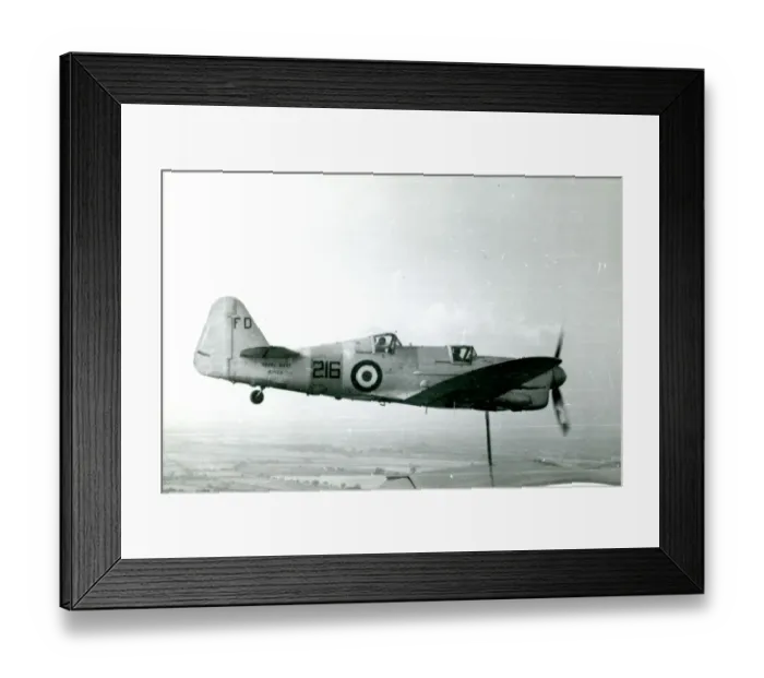 Framed Print : Fairey Firefly T1, MB564 Framed Print : Fairey Firefly T1, MB564