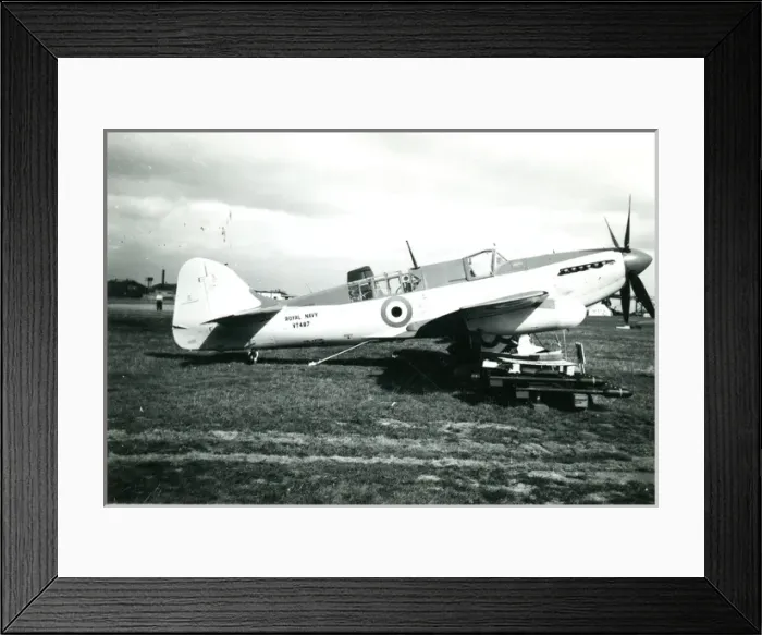 Framed Print : Fairey Firefly FR4, VT487 Framed Print : Fairey Firefly FR4, VT487