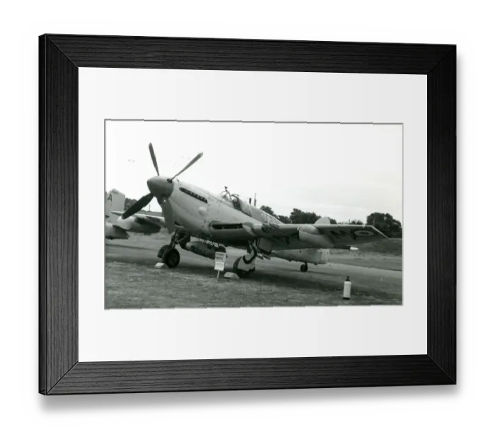Framed Print : Fairey Firefly FR4 Framed Print : Fairey Firefly FR4