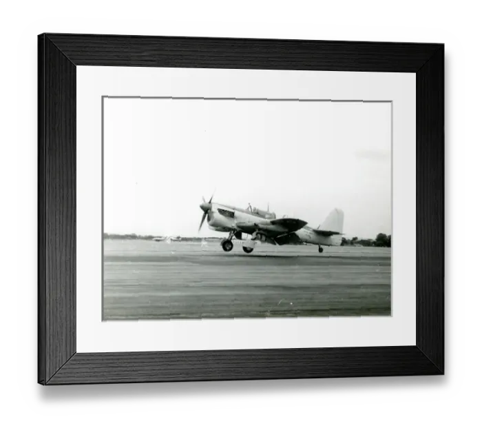 Framed Print : Fairey Firefly AS7, WJ146 Framed Print : Fairey Firefly AS7, WJ146