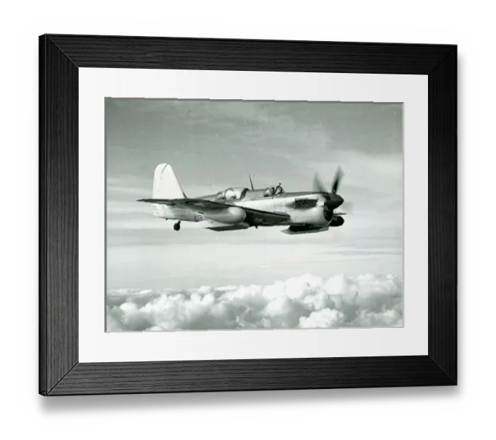Framed Print : Fairey Firefly AS7 Framed Print : Fairey Firefly AS7