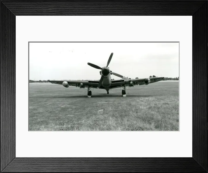 Framed Print : Fairey Firefly FR4 Framed Print : Fairey Firefly FR4