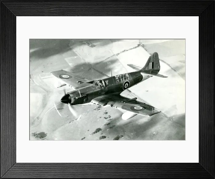 Framed Print : Fairey Firefly 5 of the Royal Australian Navy Framed Print : Fairey Firefly 5 of the Royal Australian Navy