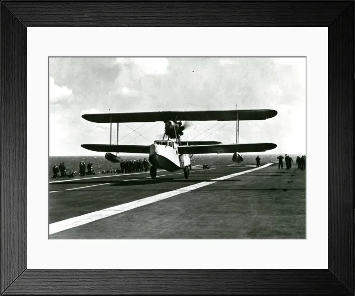 Framed Print : Supermarine Walrus Framed Print : Supermarine Walrus