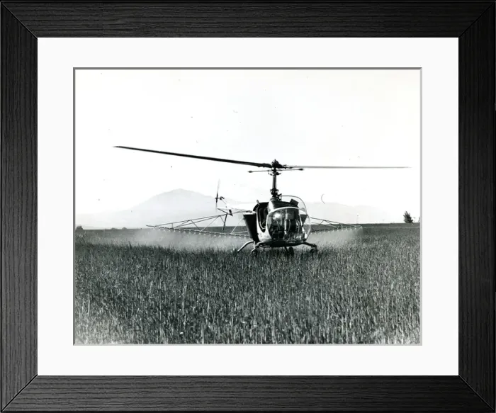 Framed Print : Bell Model 47B-3 crop duster Framed Print : Bell Model 47B-3 crop duster