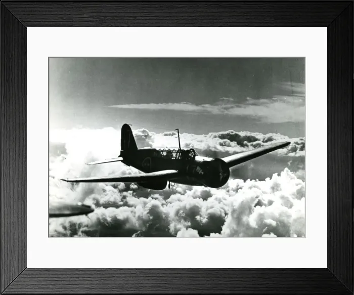 Framed Print : Saab B17B Framed Print : Saab B17B