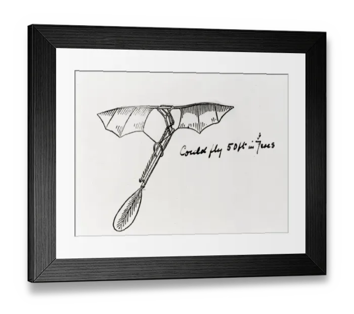 Framed Print : Pnaud model aircraft of 1872 Framed Print : Pnaud model aircraft of 1872