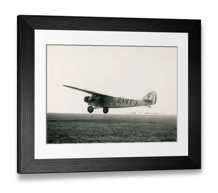 Framed Print : The sole SPCA 90, F-AKFJ