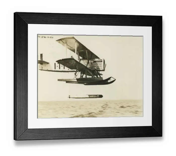 Framed Print : Douglas DT-2