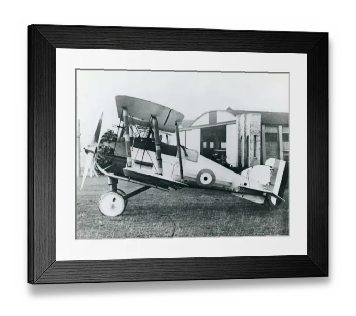 Framed Print : Gloster Gamecock I, J7910 Framed Print : Gloster Gamecock I, J7910