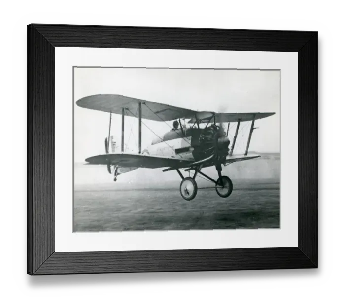 Framed Print : Gloster Gamecock II Framed Print : Gloster Gamecock II