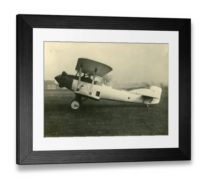 Framed Print : The sole Gloster Goring, J8674 Framed Print : The sole Gloster Goring, J8674
