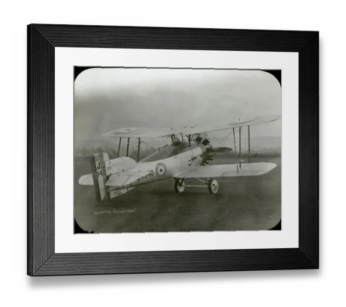 Framed Print : The sole Gloster Goldfinch, J7940 Framed Print : The sole Gloster Goldfinch, J7940