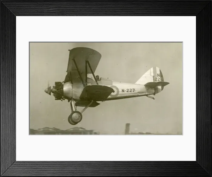 Framed Print : Gloster Gnatsnapper II, N227, with an uncowled Jaguar VI?