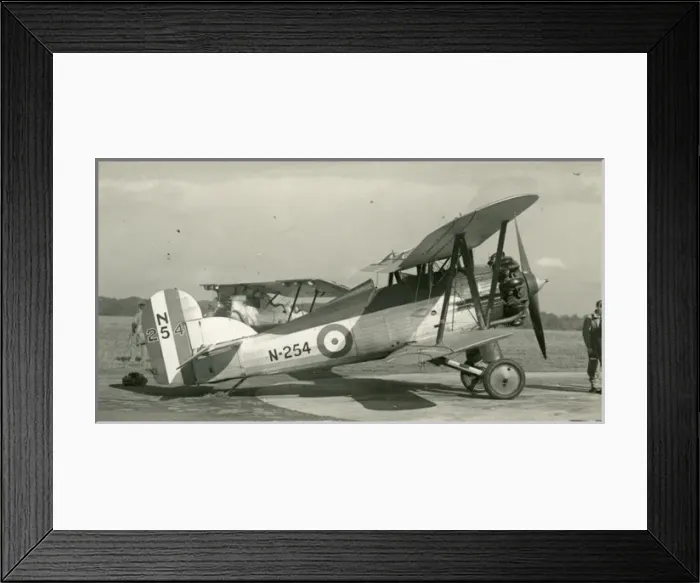 Framed Print : The second Gloster Gnatsnapper I, N254 Framed Print : The second Gloster Gnatsnapper I, N254