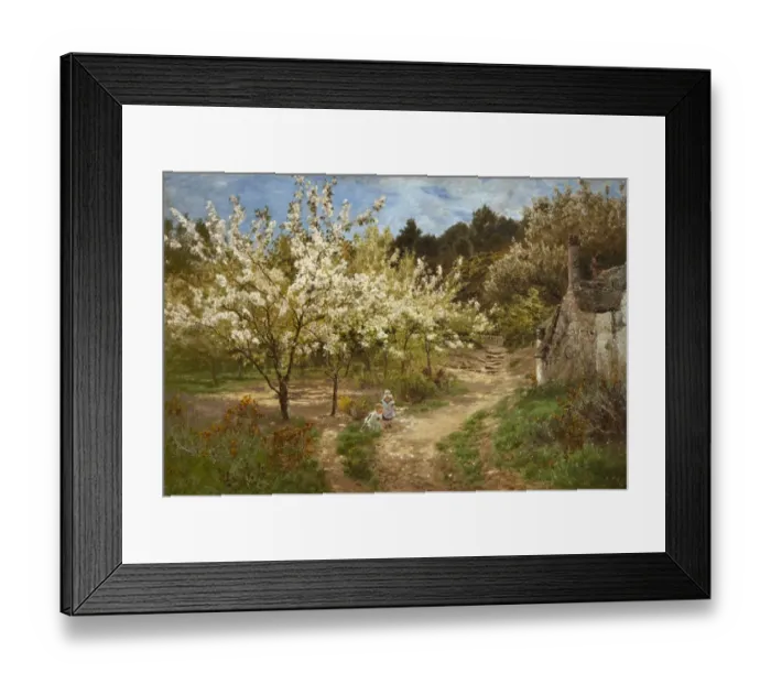 Framed Print : The Cherry Orchard Framed Print : The Cherry Orchard