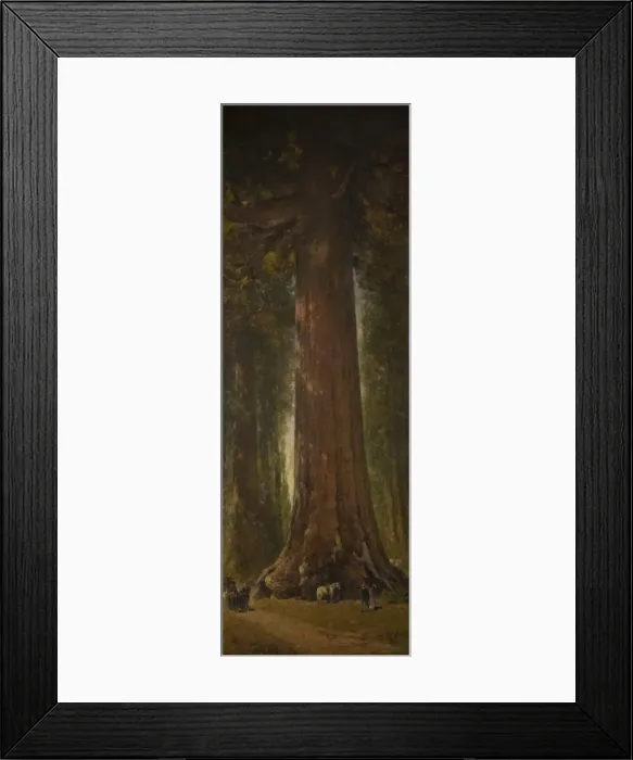 Framed Print : Grizzly Giant Tree, Mariposa Grove, Yosemite Framed Print : Grizzly Giant Tree, Mariposa Grove, Yosemite
