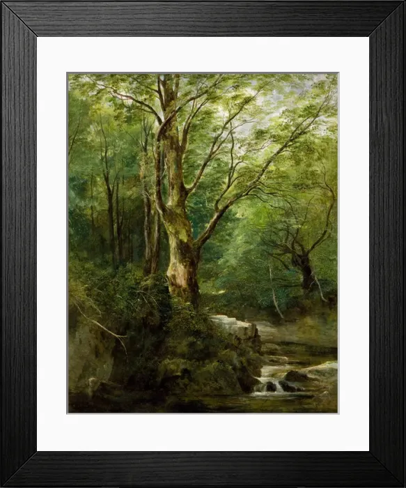 Framed Print : The Old Tree in the Glen ? June Framed Print : The Old Tree in the Glen ? June