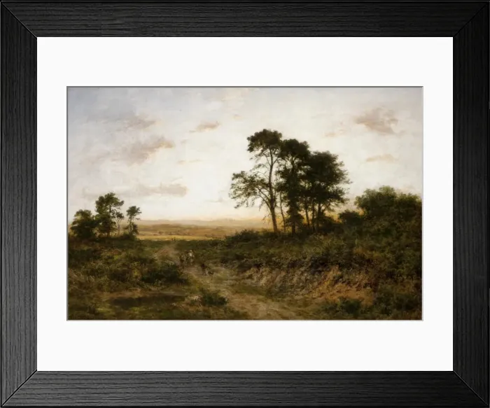 Framed Print : Evening on a Surrey Common Framed Print : Evening on a Surrey Common