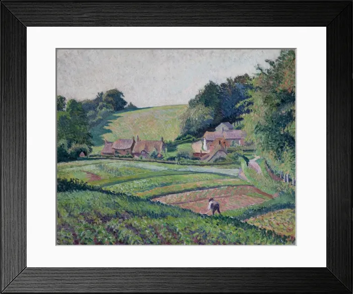 Framed Print : The Allotments Framed Print : The Allotments