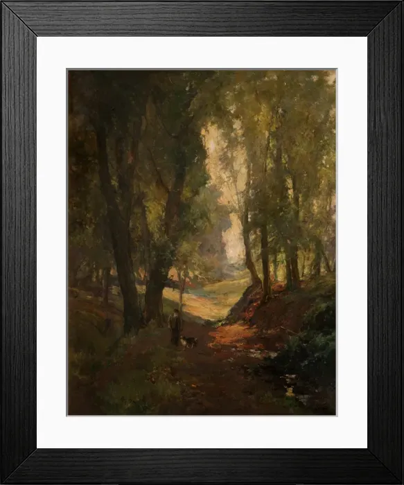 Framed Print : Sunshine, Lagan Woods Framed Print : Sunshine, Lagan Woods