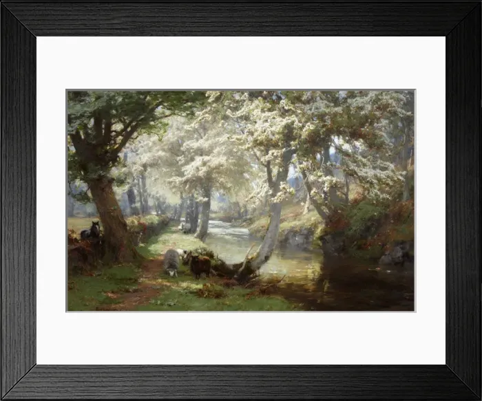 Framed Print : Spring in the Trossachs Framed Print : Spring in the Trossachs