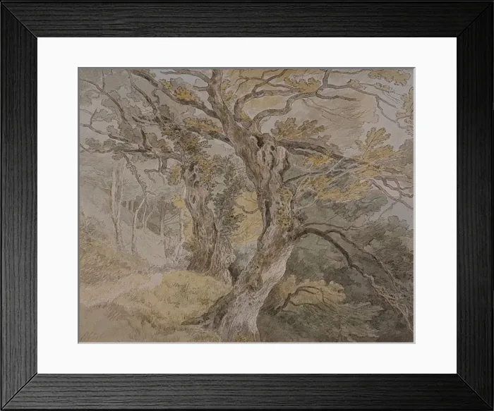 Framed Print : Peamore Park, nr. Exeter Framed Print : Peamore Park, nr. Exeter