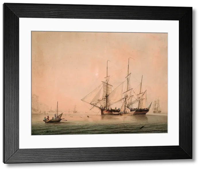 Framed Print : Sailing Ships Framed Print : Sailing Ships