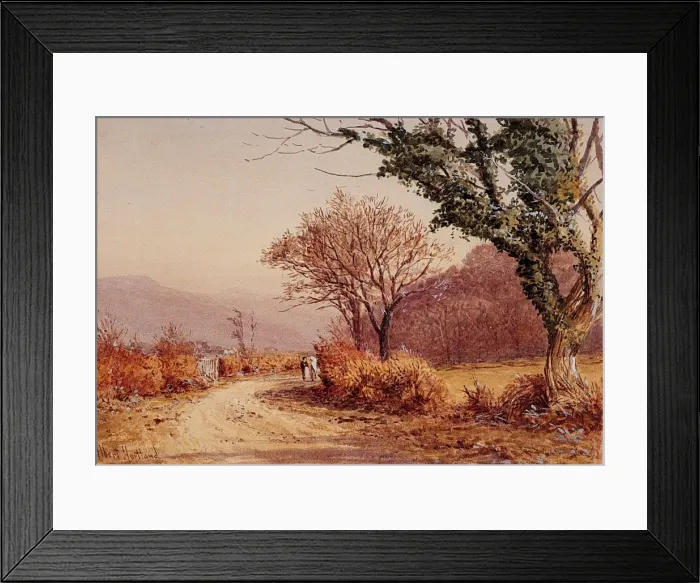 Framed Print : A Country Lane Framed Print : A Country Lane
