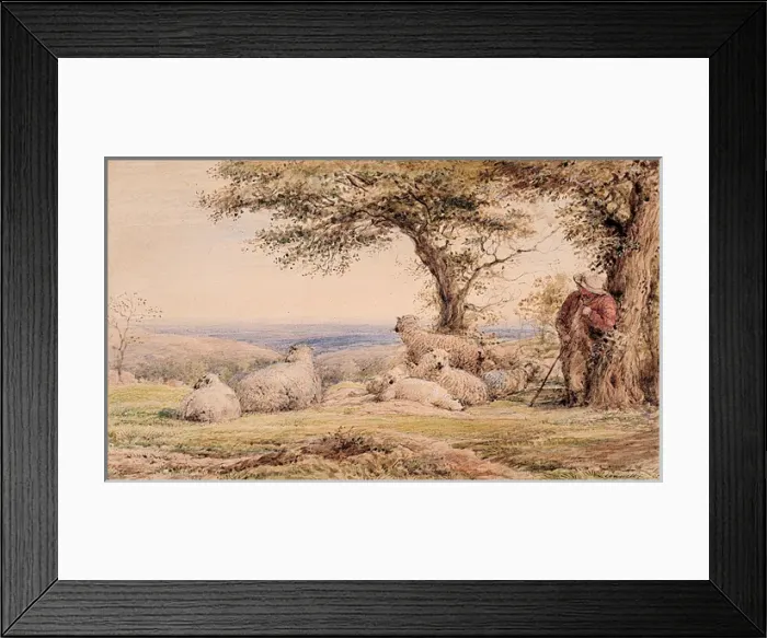 Framed Print : Landscape with Sheep Framed Print : Landscape with Sheep