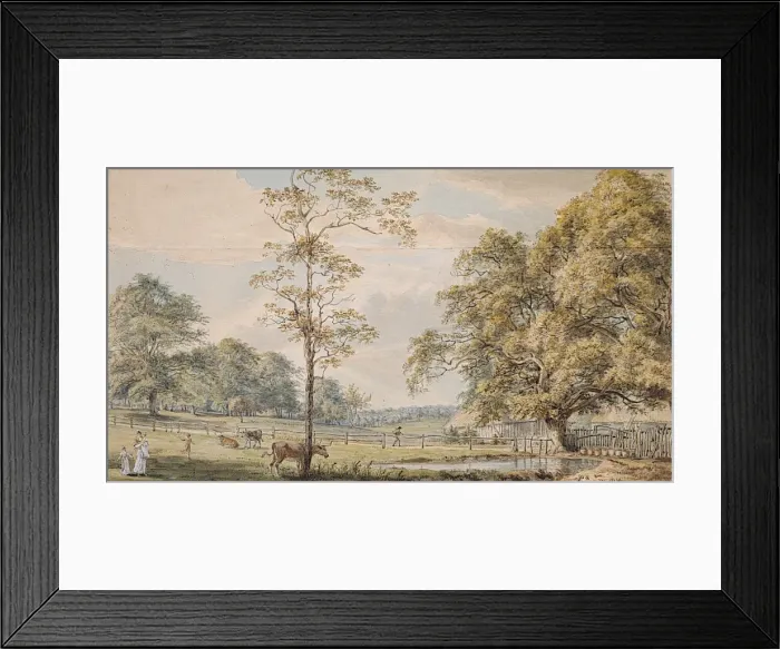 Framed Print : View near the Woodyard, Windsor Great Park Framed Print : View near the Woodyard, Windsor Great Park