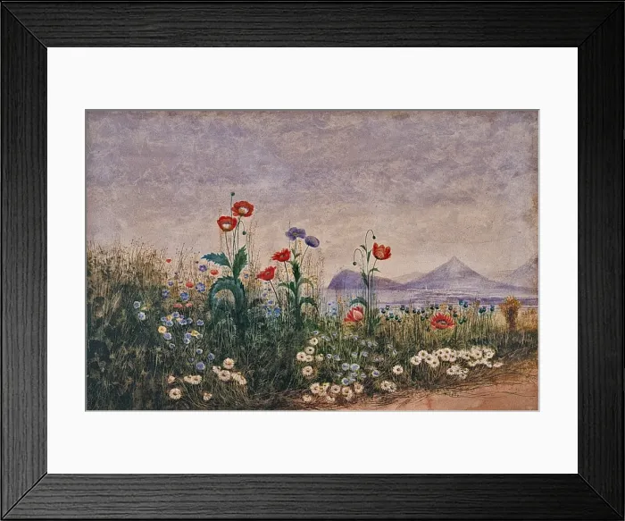 Framed Print : A Bank of Flowers, with a View of Bray and the Valley of Framed Print : A Bank of Flowers, with a View of Bray and the Valley of