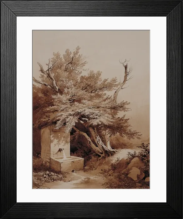 Framed Print : Trees and a Water Spout Framed Print : Trees and a Water Spout