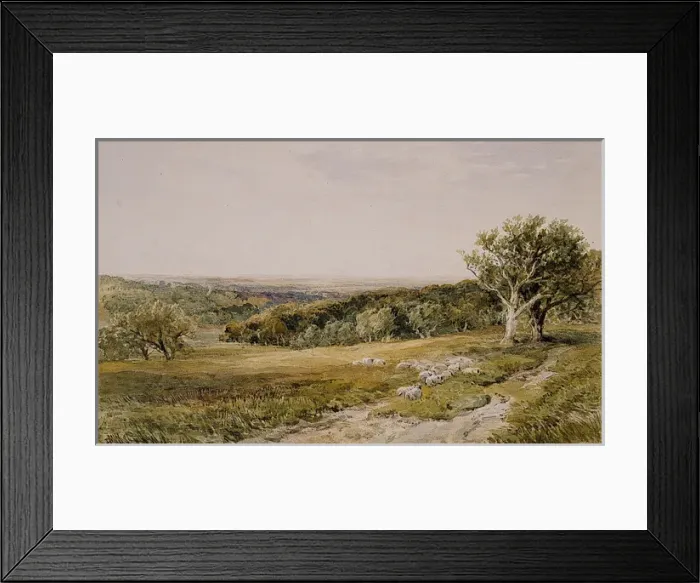 Framed Print : A Sunny Vale Framed Print : A Sunny Vale