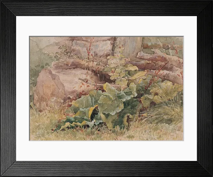 Framed Print : Felled Timber with Burdock Framed Print : Felled Timber with Burdock