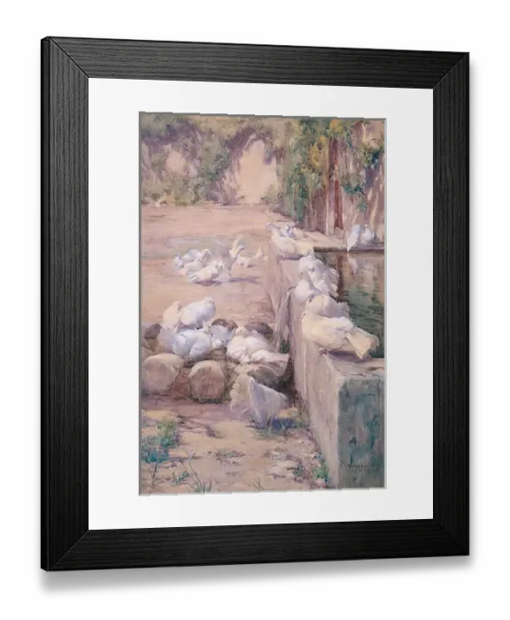 Framed Print : A Sunshine Holiday Framed Print : A Sunshine Holiday
