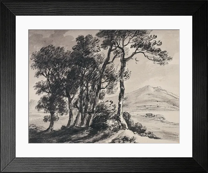Framed Print : Landscape and Trees Framed Print : Landscape and Trees