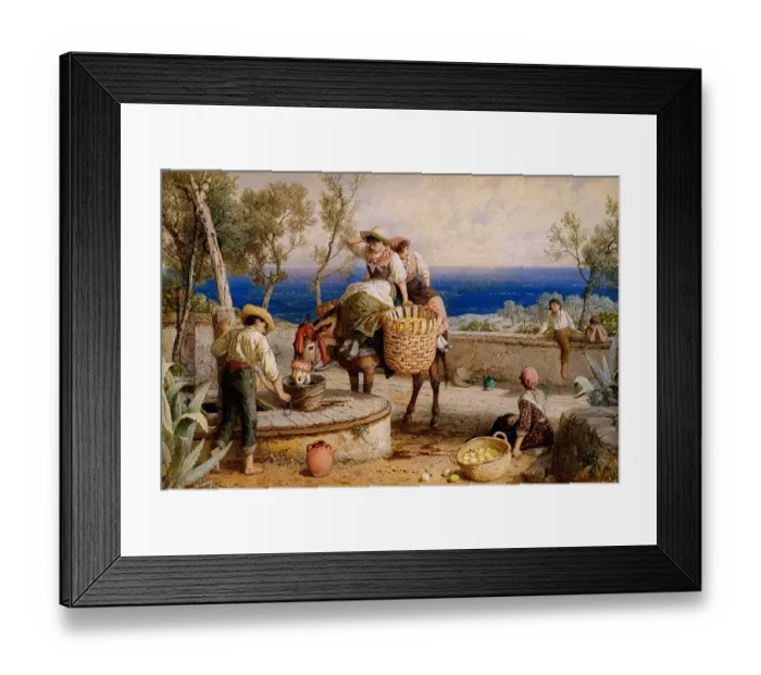 Framed Print : Oranges and Lemons Mediterranean Framed Print : Oranges and Lemons Mediterranean