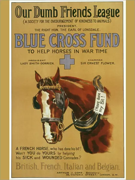 Blue Cross Fund Poster