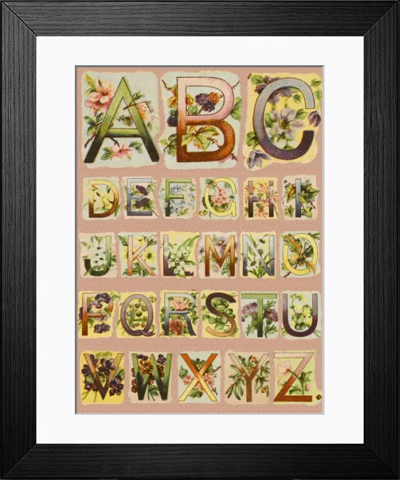 Framed Print : Illustrated Alphabet A-Z Framed Print : Illustrated Alphabet A-Z