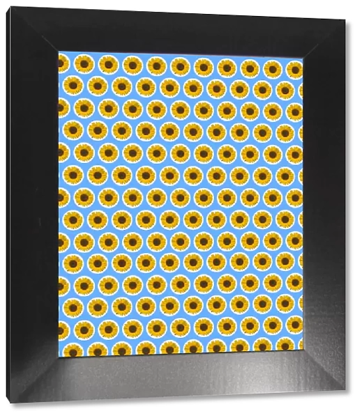 Repeating Pattern - Sunflowers - Blue Background