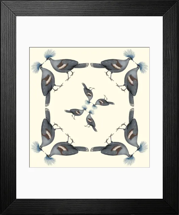 Framed Print : Repeating Pattern - Pigeons Framed Print : Repeating Pattern - Pigeons