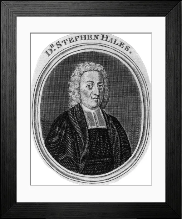 Framed Print : Stephen Hales Framed Print : Stephen Hales