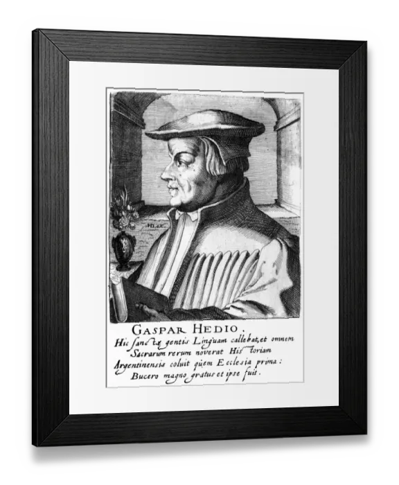 Framed Print : Gaspar Hedio - 2 Framed Print : Gaspar Hedio - 2