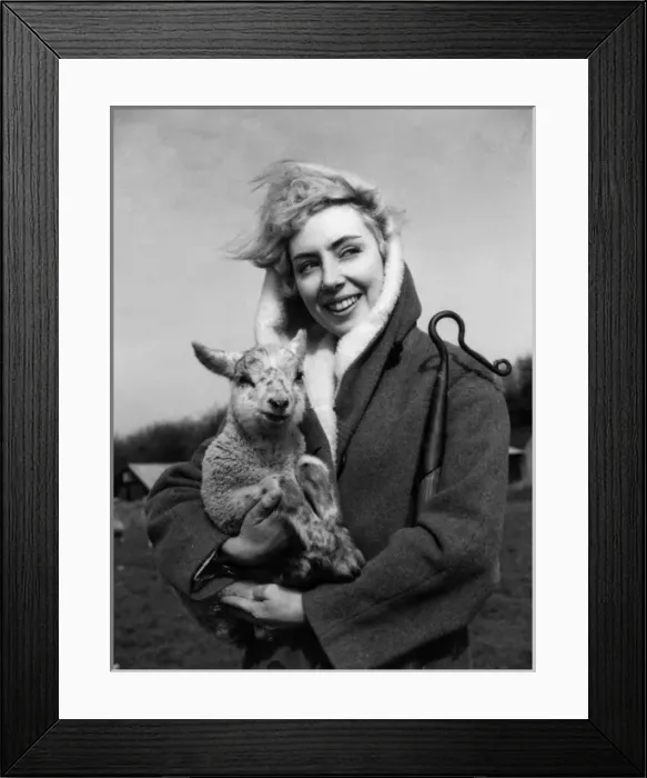 Framed Print : Lamb and Shepherdess Framed Print : Lamb and Shepherdess