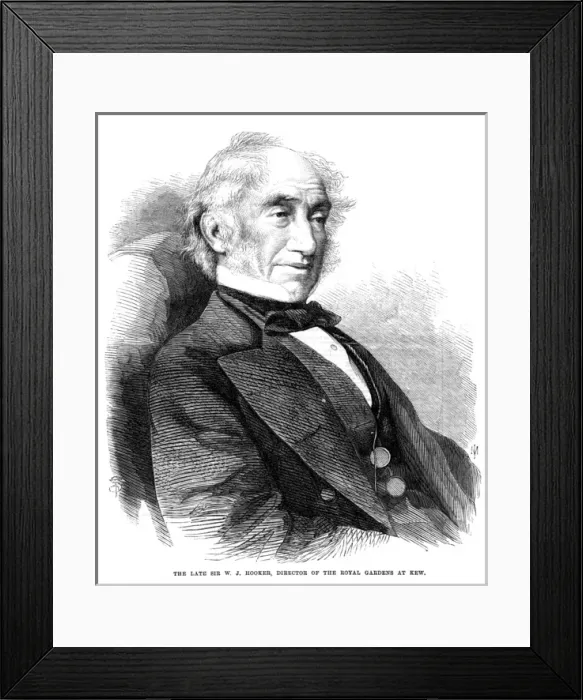 Framed Print : William Jackson Hooker Framed Print : William Jackson Hooker
